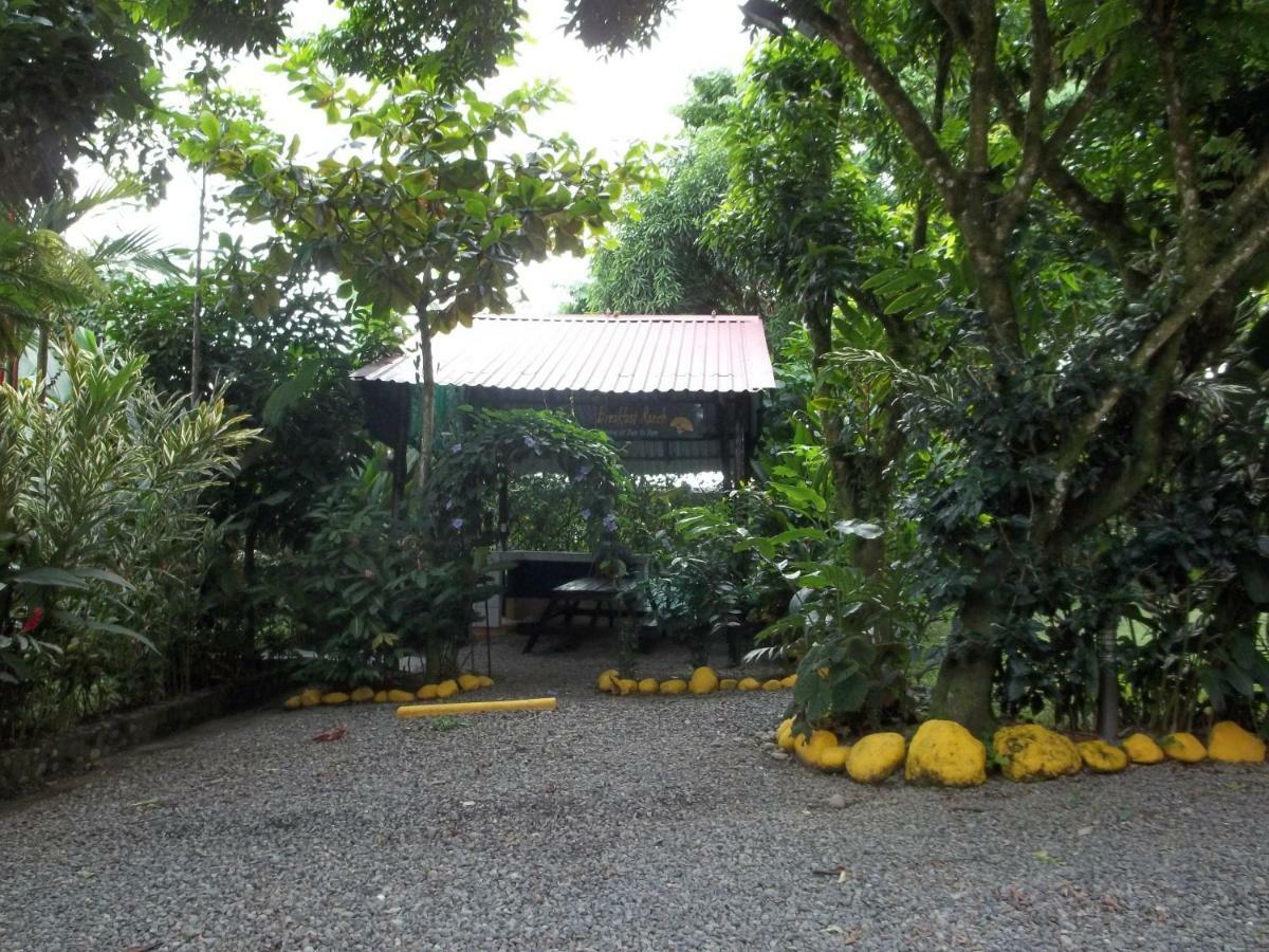 Hotel Tierra Del Fuego La Fortuna المظهر الخارجي الصورة